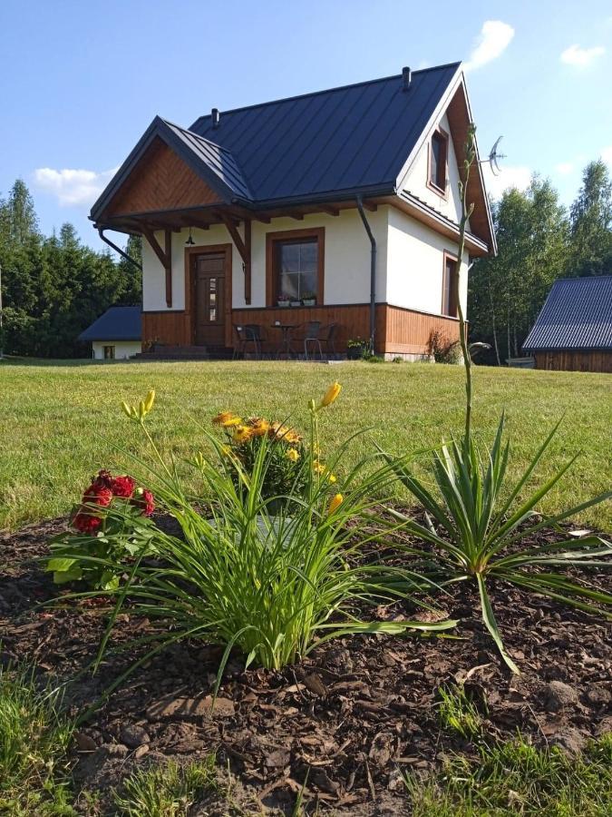 Siedlisko Czarny Dzieciol Apartment Narewka Bagian luar foto