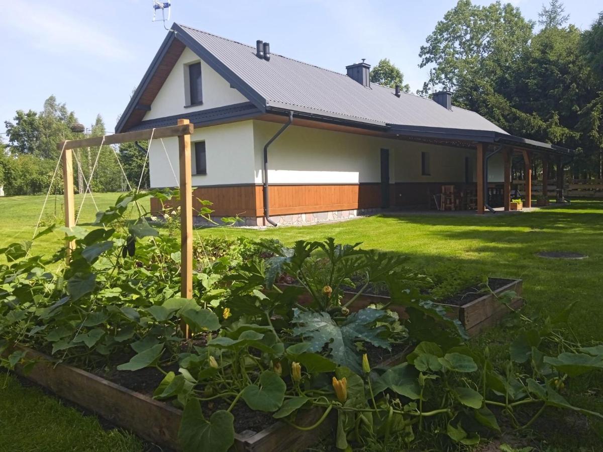 Siedlisko Czarny Dzieciol Apartment Narewka Bagian luar foto