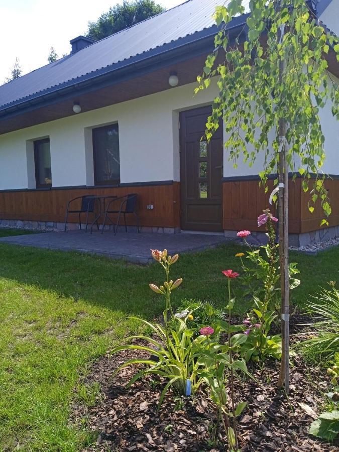 Siedlisko Czarny Dzieciol Apartment Narewka Bagian luar foto